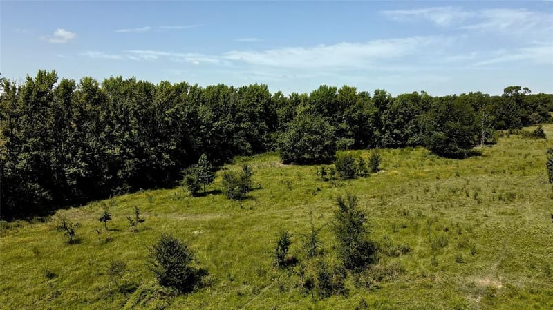 10142 FM 773, Murchison TX 75778 - Photo 22