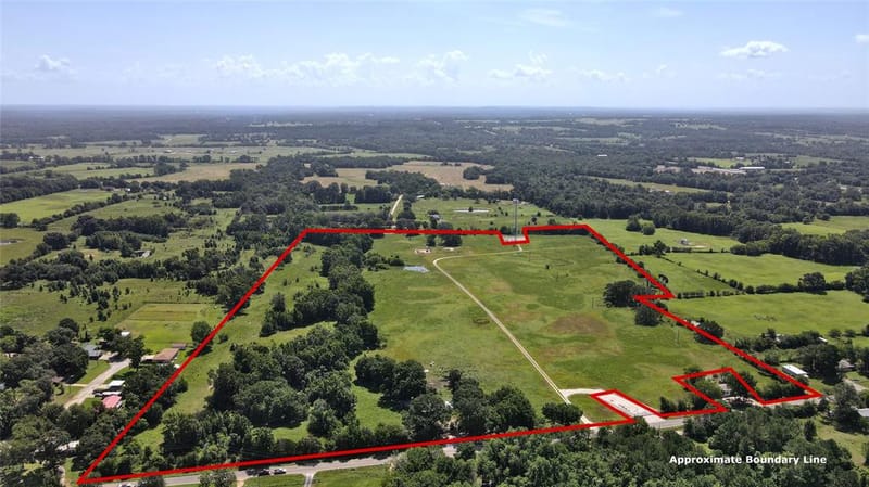 10142 FM 773, Murchison TX 75778 - Photo 3