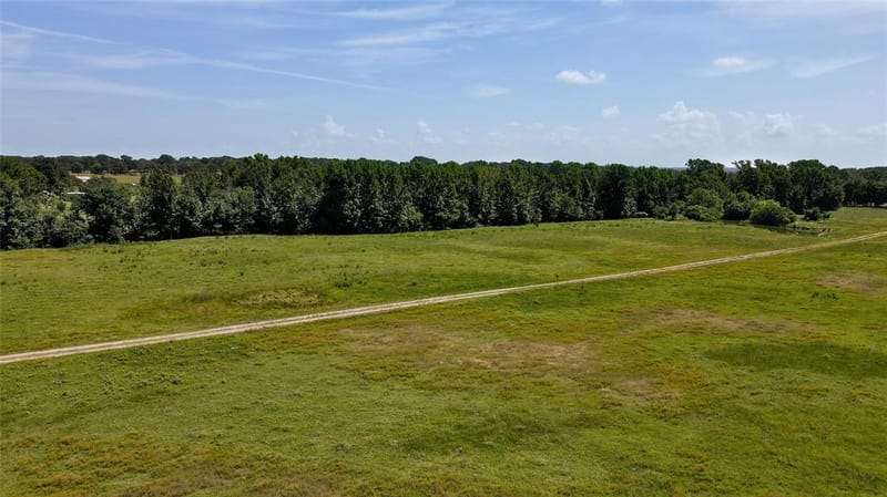 10142 FM 773, Murchison TX 75778 - Photo 28