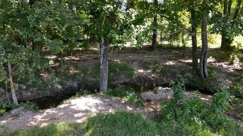 10142 FM 773, Murchison TX 75778 - Photo 25