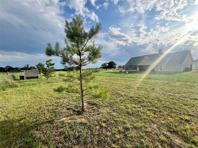 2505 Vz County Road 2511, Canton TX 75103 - Photo 24