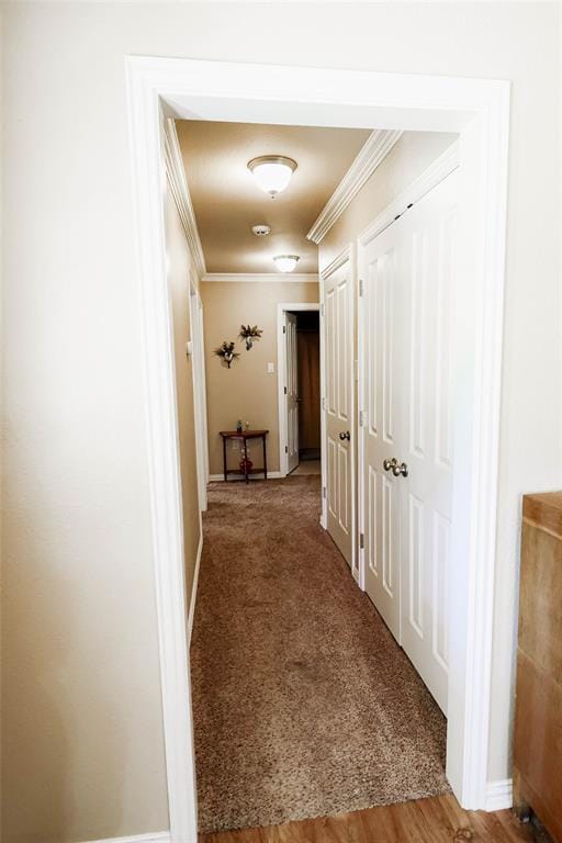 679 County Road 1465, Bonham TX 75418 - Photo 35