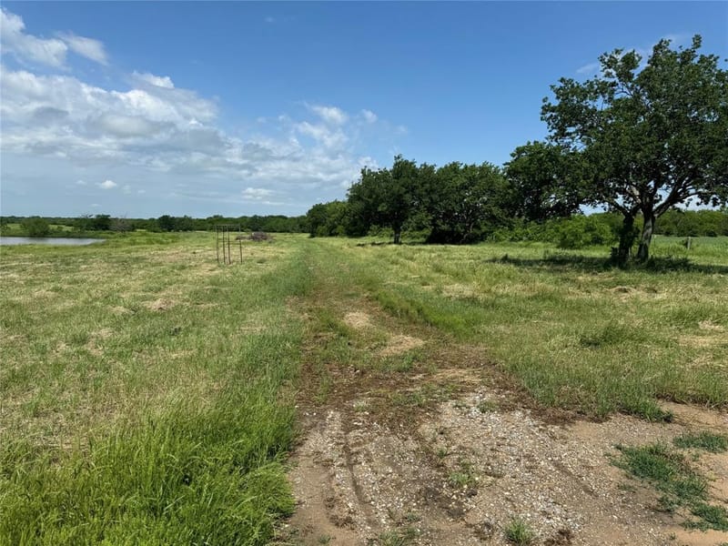 1273 Wall Street Road, Gunter TX 75058 - Photo 24
