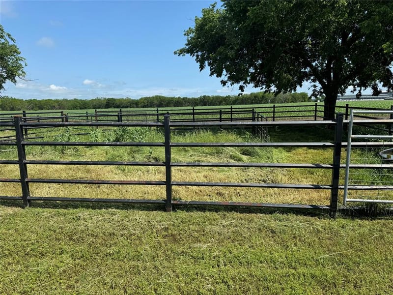 1273 Wall Street Road, Gunter TX 75058 - Photo 14