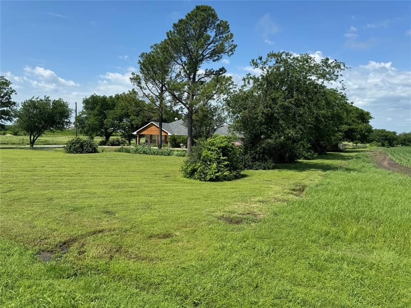 1273 Wall Street Road, Gunter TX 75058 - Photo 15