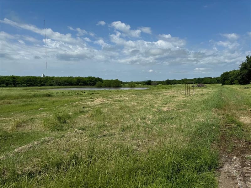 1273 Wall Street Road, Gunter TX 75058 - Photo 11