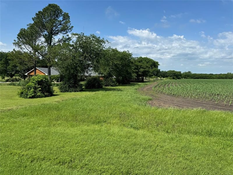 1273 Wall Street Road, Gunter TX 75058 - Photo 8