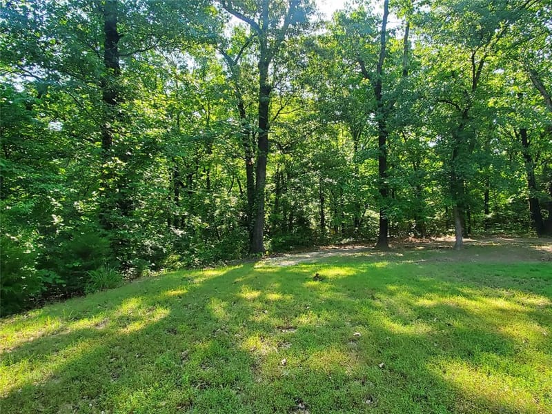456 PR 41, Honey Grove TX 75446 - Photo 26