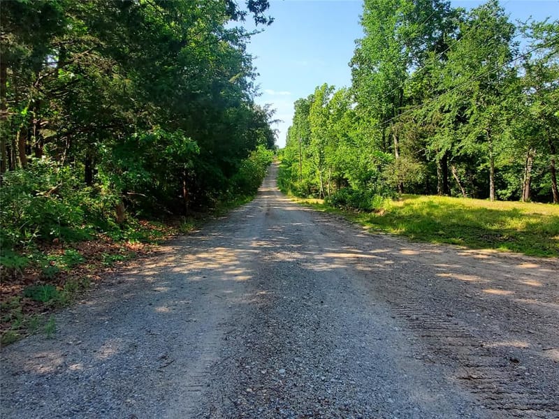 456 PR 41, Honey Grove TX 75446 - Photo 32