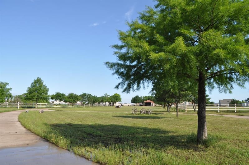 3511 Fm 66, Waxahachie TX 75167 - Photo 13