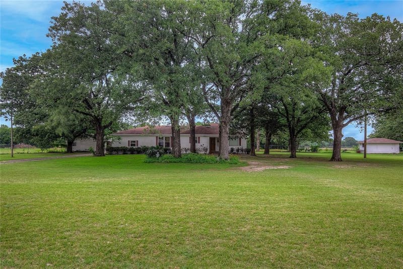 7209 Hackberry Drive, Greenville TX 75402 - Photo 14