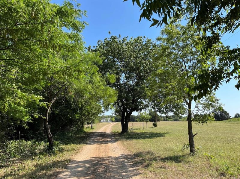 299 Private Road 1452, Chico TX 76431 - Photo 38