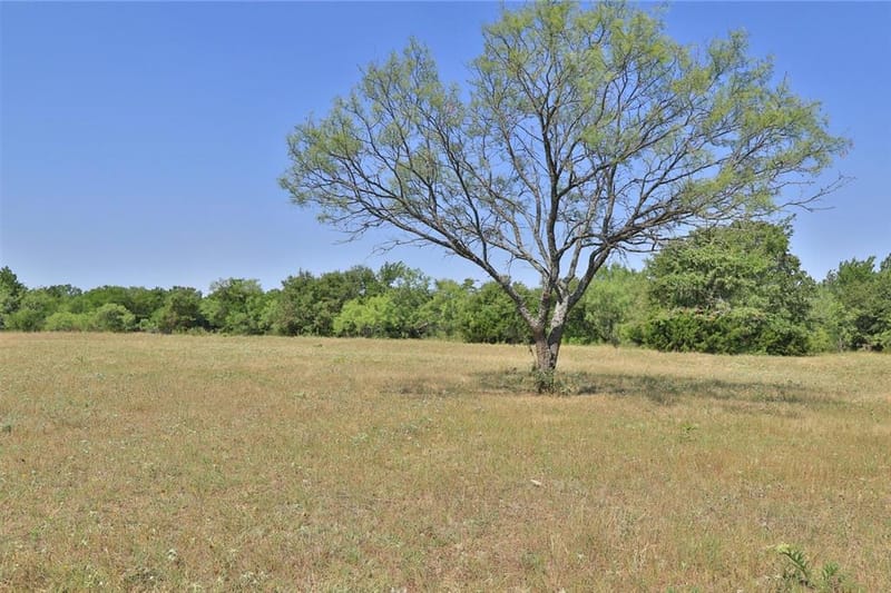 299 Private Road 1452, Chico TX 76431 - Photo 10