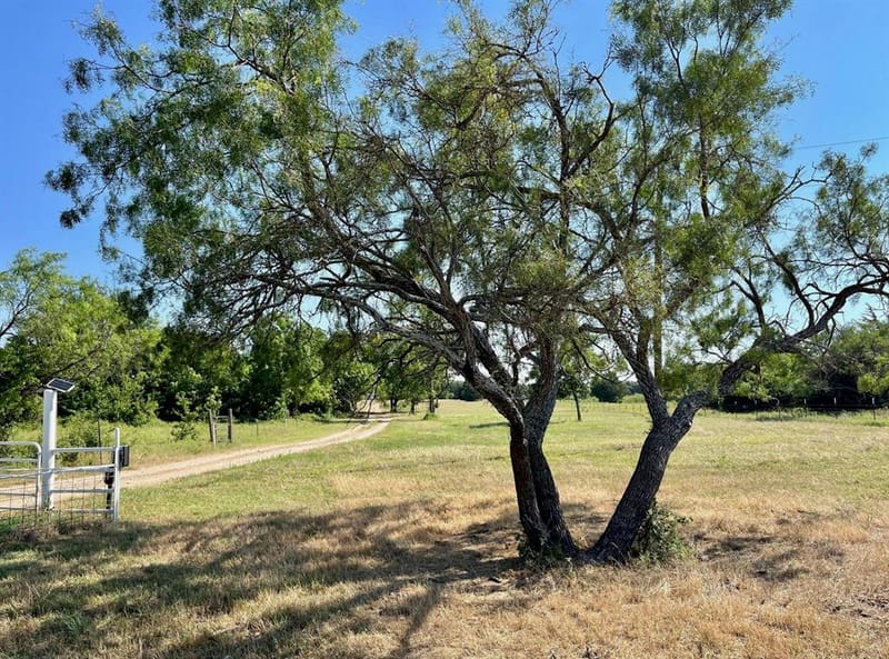 299 Private Road 1452, Chico TX 76431 - Photo 11