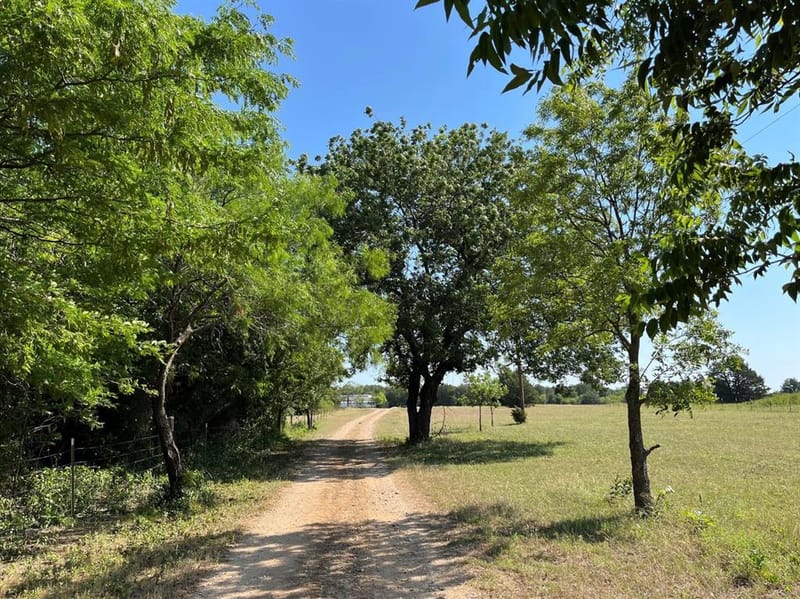 299 Private Road 1452, Chico TX 76431 - Photo 4