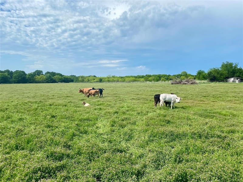 7984 County road 2582, Royse City TX 75189 - Photo 16