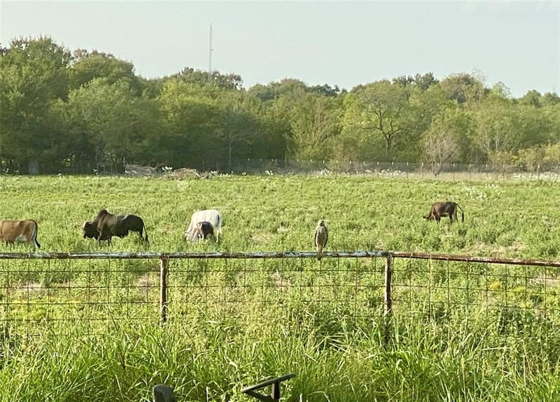 7984 County road 2582, Royse City TX 75189 - Photo 14