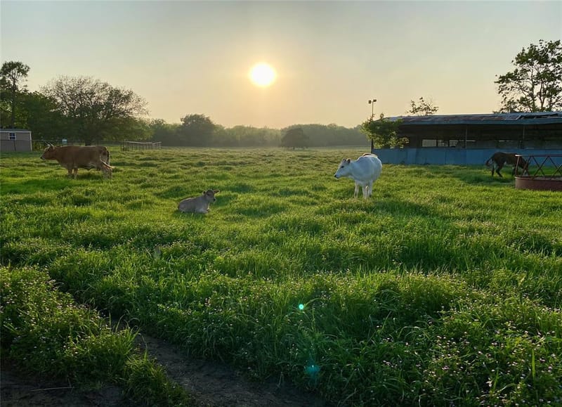 7984 County road 2582, Royse City TX 75189 - Photo 18