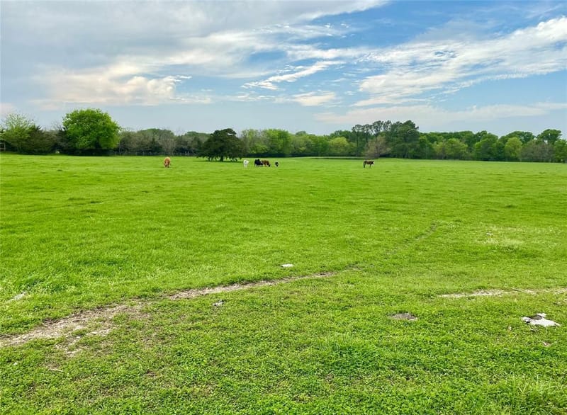 7984 County road 2582, Royse City TX 75189 - Photo 19