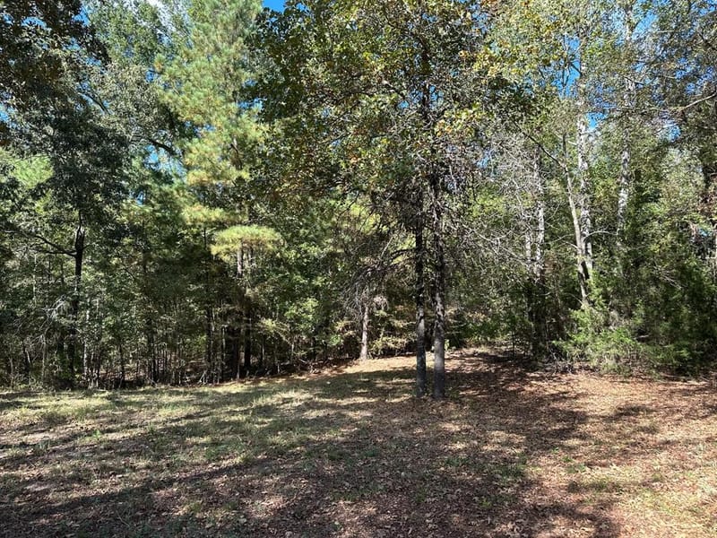 11420 County Road 420, Tyler TX 75704 - Photo 23