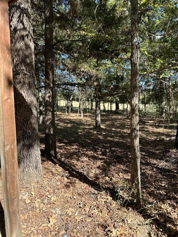 11420 County Road 420, Tyler TX 75704 - Photo 27