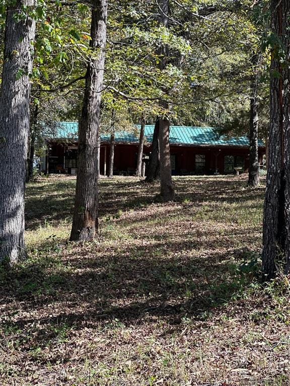11420 County Road 420, Tyler TX 75704 - Photo 2