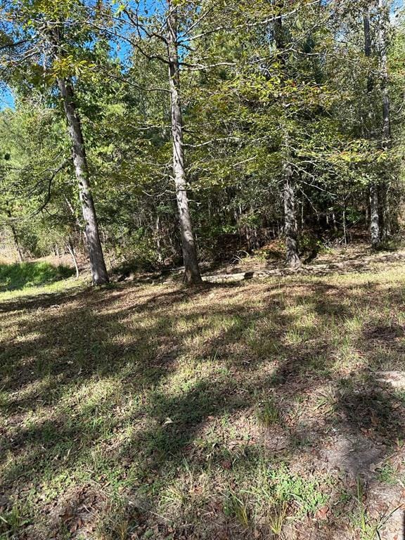 11420 County Road 420, Tyler TX 75704 - Photo 13