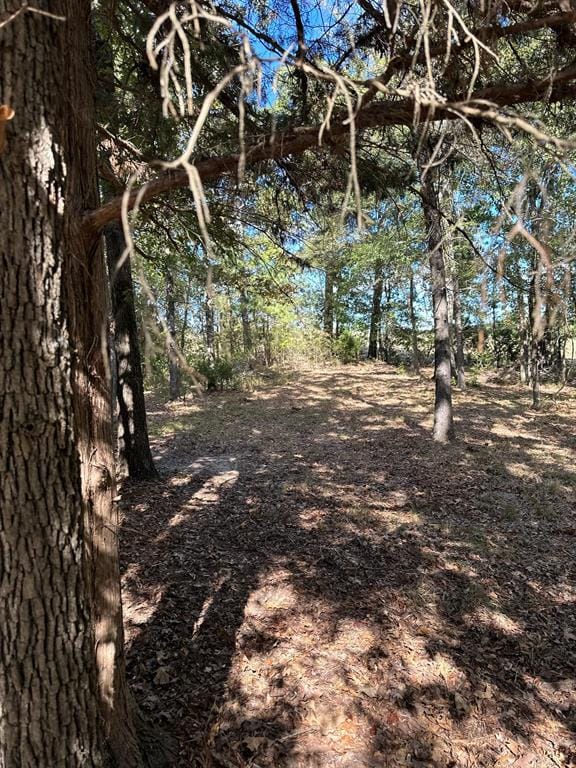 11420 County Road 420, Tyler TX 75704 - Photo 17