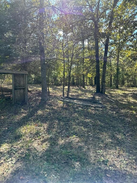 11420 County Road 420, Tyler TX 75704 - Photo 16