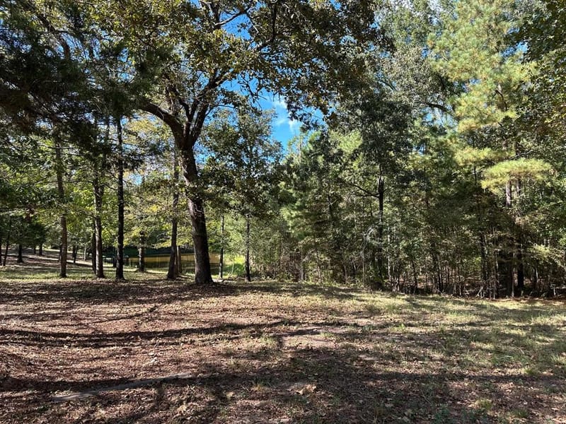 11420 County Road 420, Tyler TX 75704 - Photo 12