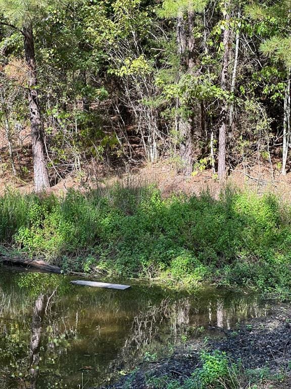 11420 County Road 420, Tyler TX 75704 - Photo 22