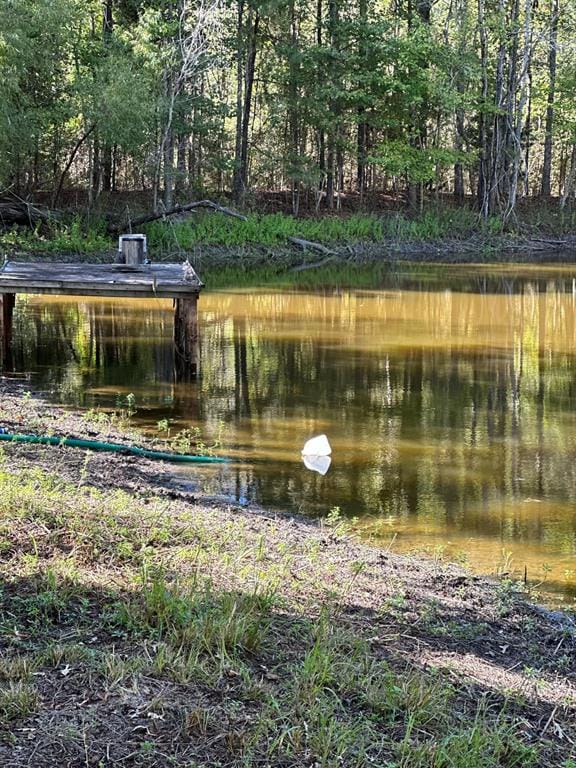 11420 County Road 420, Tyler TX 75704 - Photo 28