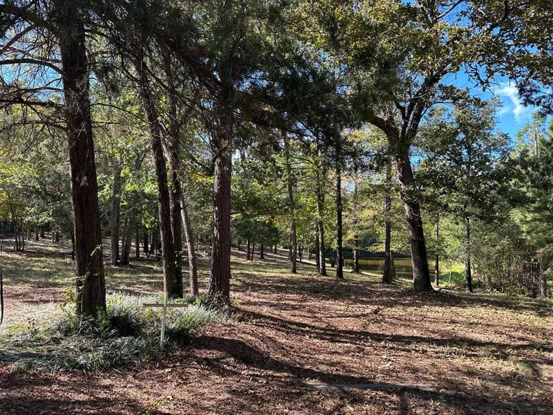 11420 County Road 420, Tyler TX 75704 - Photo 20