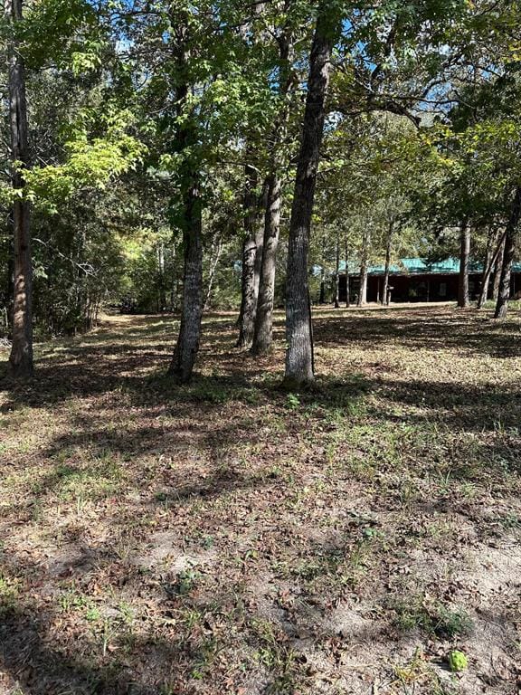 11420 County Road 420, Tyler TX 75704 - Photo 24
