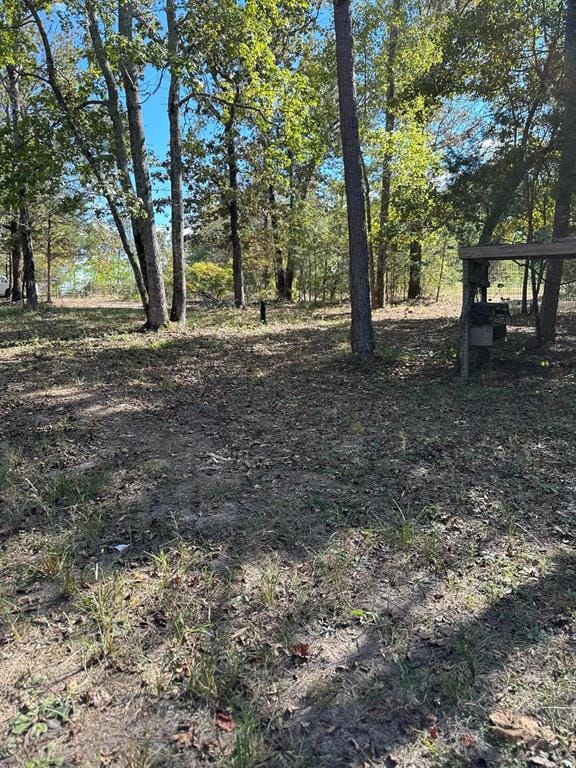 11420 County Road 420, Tyler TX 75704 - Photo 30