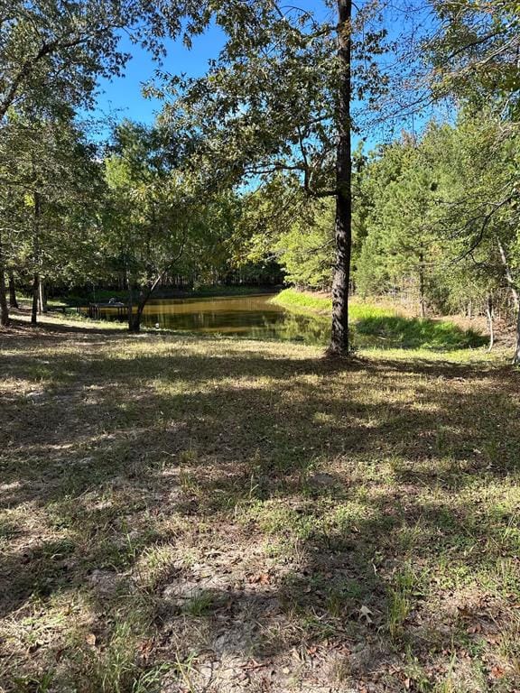 11420 County Road 420, Tyler TX 75704 - Photo 14