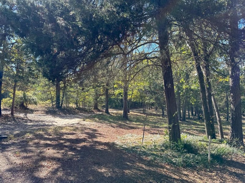 11420 County Road 420, Tyler TX 75704 - Photo 18