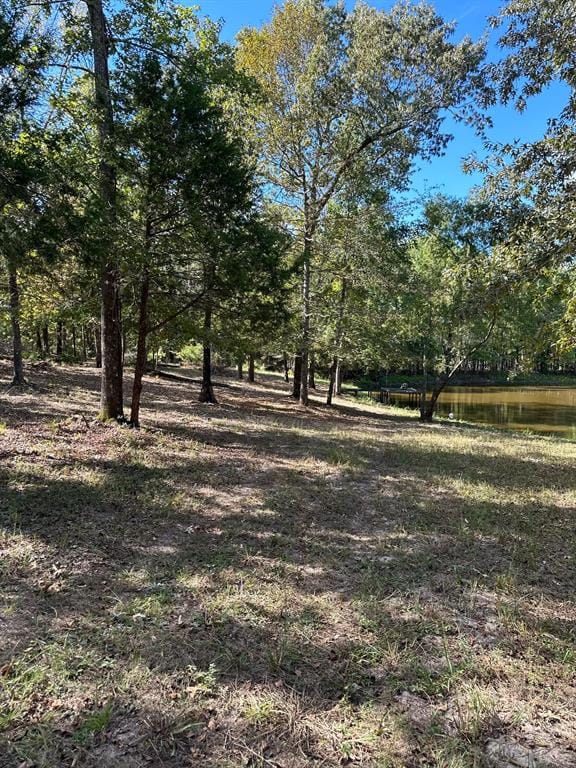 11420 County Road 420, Tyler TX 75704 - Photo 15