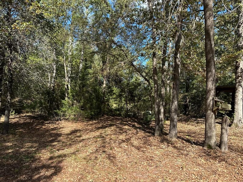 11420 County Road 420, Tyler TX 75704 - Photo 19