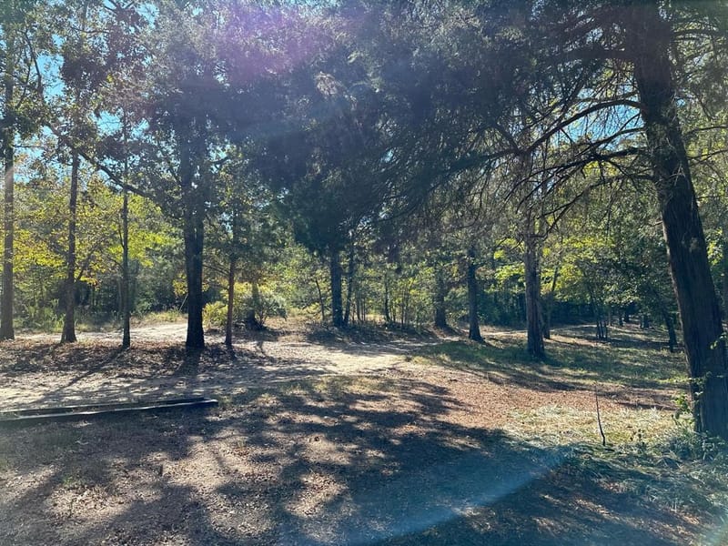 11420 County Road 420, Tyler TX 75704 - Photo 31