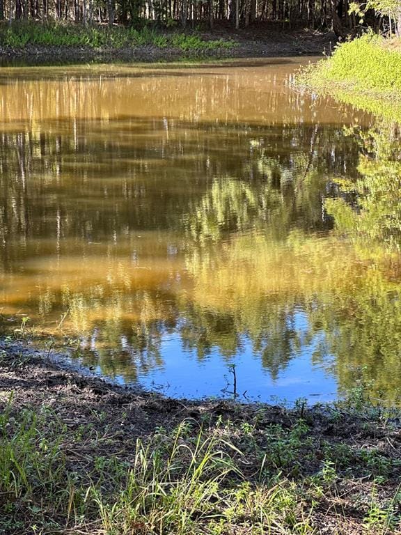 11420 County Road 420, Tyler TX 75704 - Photo 25