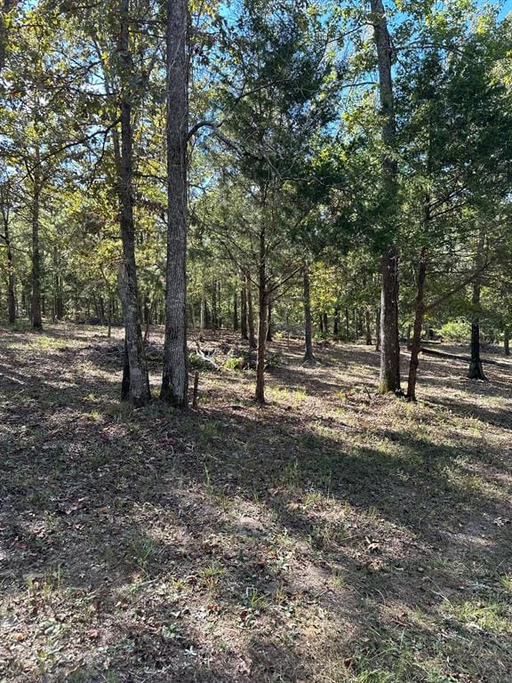11420 County Road 420, Tyler TX 75704 - Photo 21