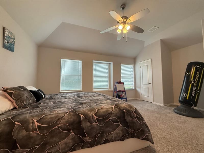 1239 Treasure Trail, Wylie TX 75098 - Photo 9