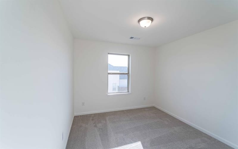 2005 Piedmont Place, Celina TX 75009 - Photo 17