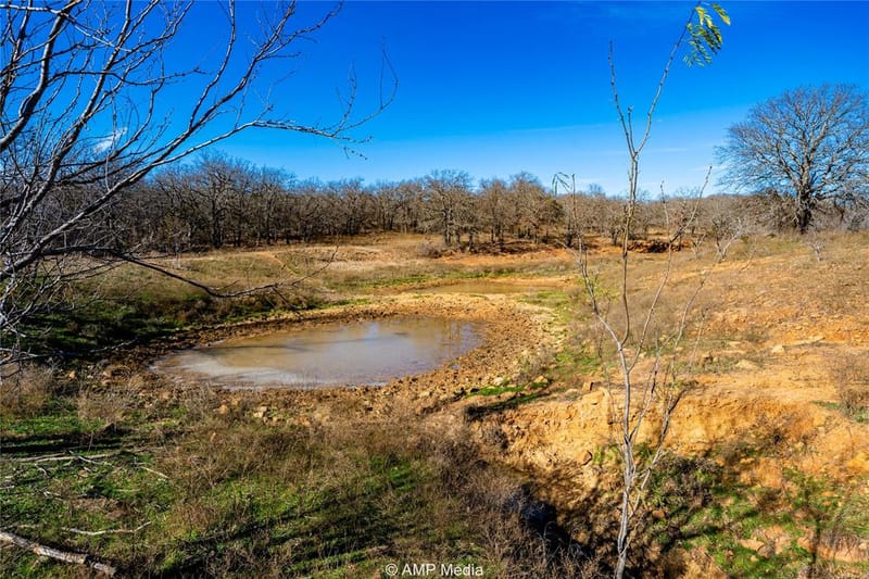 1992 Sand Flat Road, Jacksboro TX 76458 - Photo 13