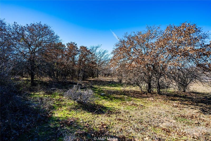 1992 Sand Flat Road, Jacksboro TX 76458 - Photo 12