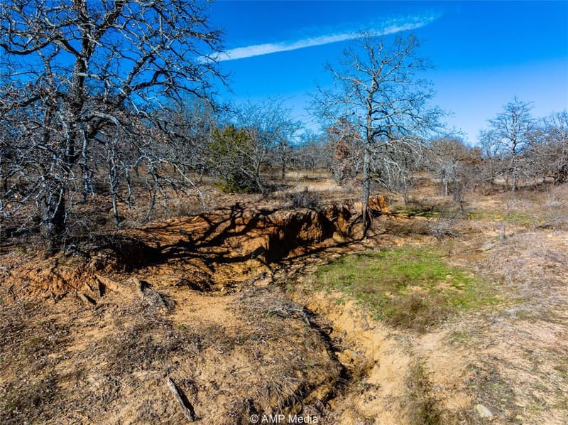 1992 Sand Flat Road, Jacksboro TX 76458 - Photo 10