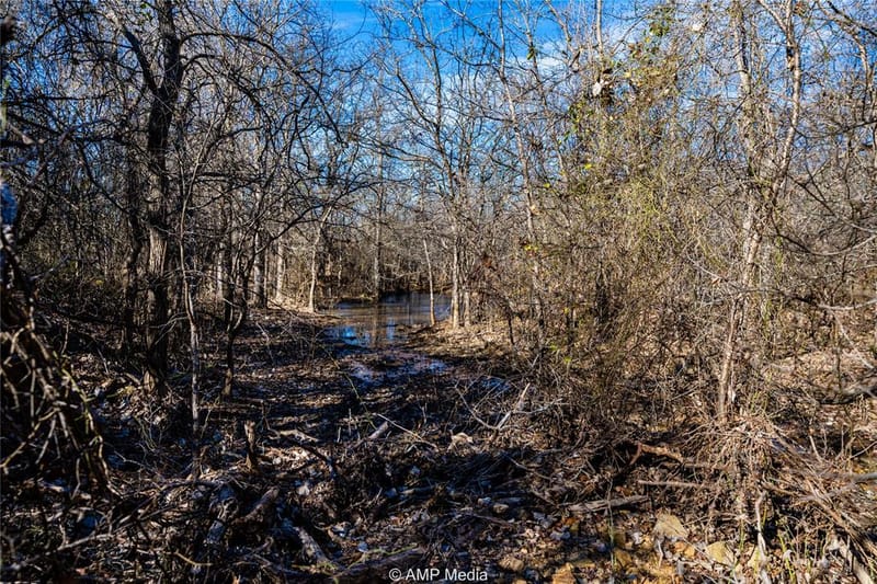 1992 Sand Flat Road, Jacksboro TX 76458 - Photo 14