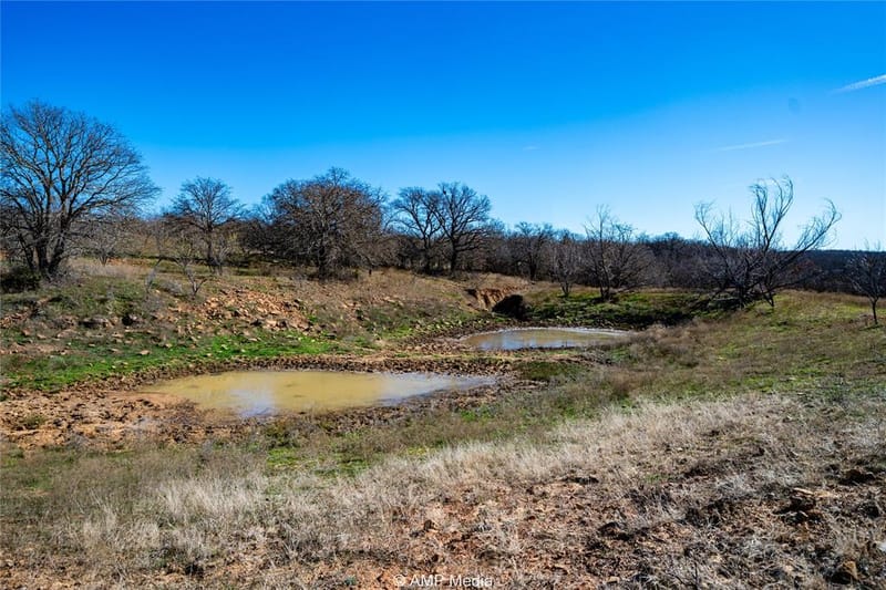 1992 Sand Flat Road, Jacksboro TX 76458 - Photo 11