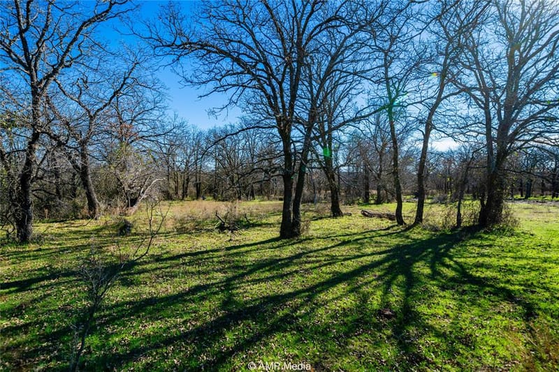 1992 Sand Flat Road, Jacksboro TX 76458 - Photo 8